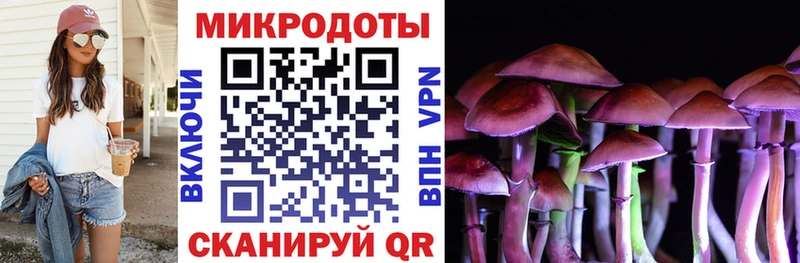 Псилоцибиновые грибы Psilocybe  Дальнегорск 